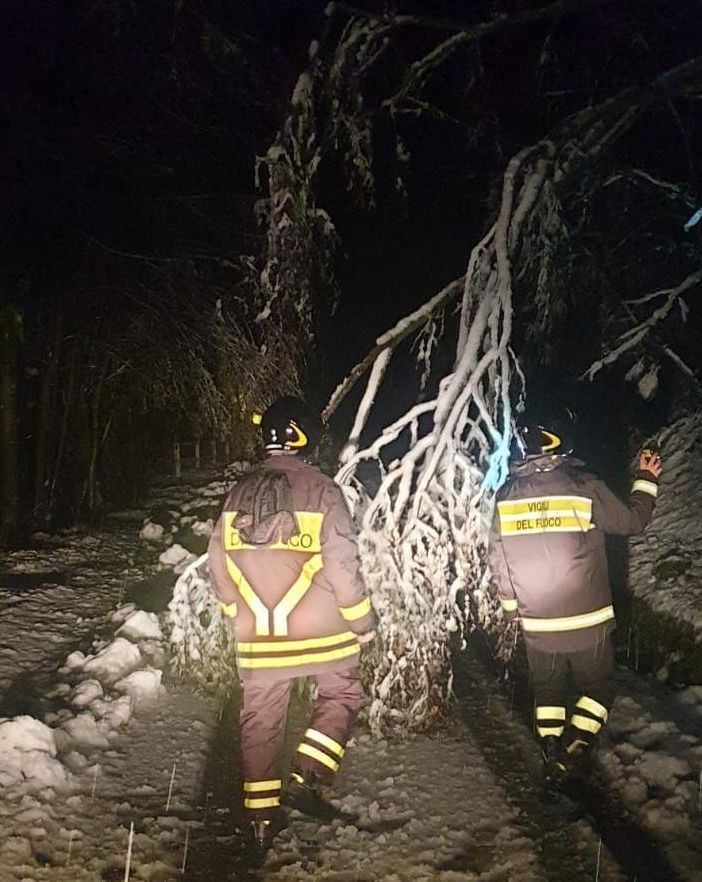 Neve in Valsesia: alberi caduti e notte di lavoro per i Vigili del Fuoco