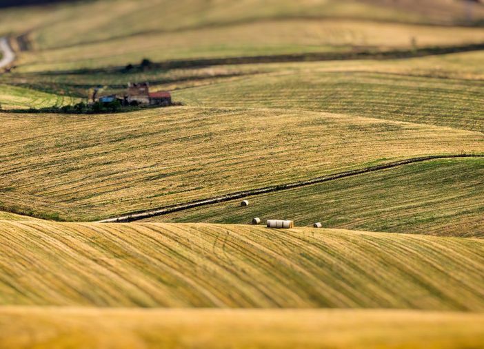 Agricoltura Piemonte: la Regione proroga le misure agroambientali del Psr con una dotazione finanziaria di 1,5 milioni di euro