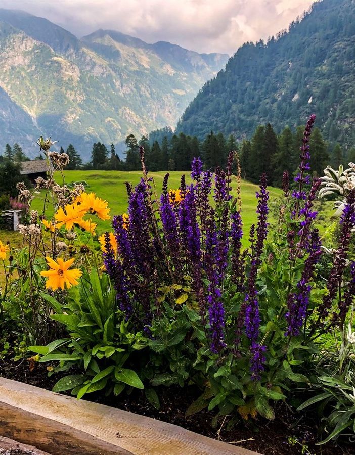 Un giorno ad Alagna