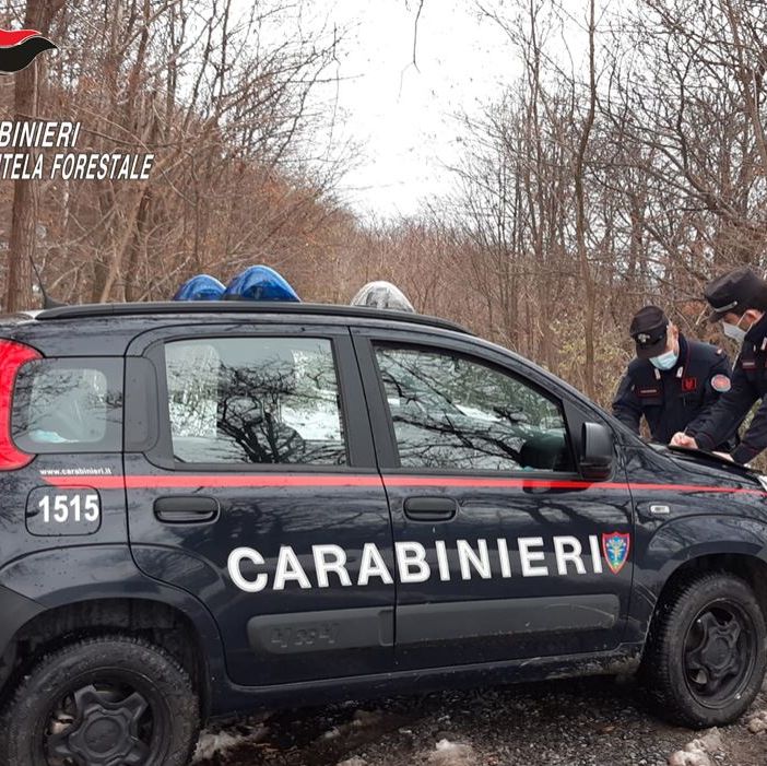 Borgosesia: Titolare di impresa edile denunciato per discarica abusiva di rifiuti speciali