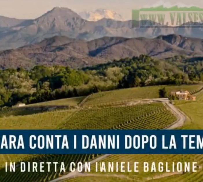 Gattinara conta i danni dopo la tempesta. Diretta con Daniele Baglione - VIDEO