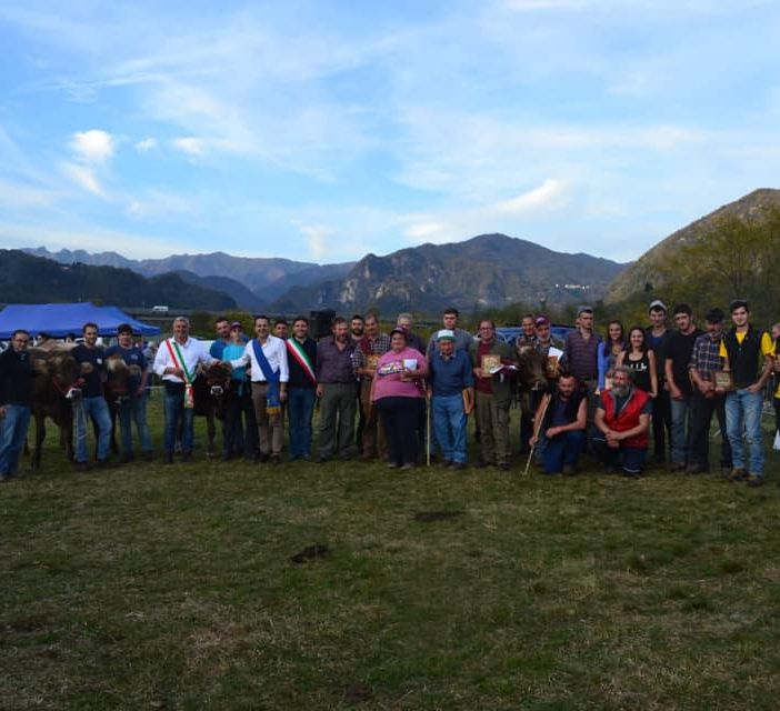 Un successo la fiera di Doccio del bestiame
