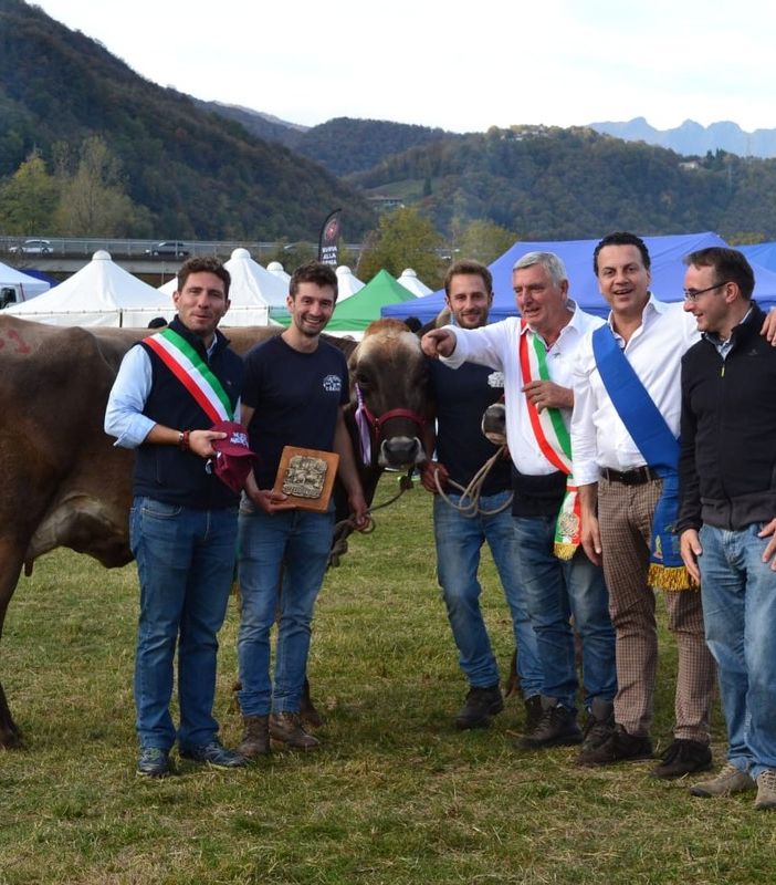 Foto e video di Mauro Benedetti