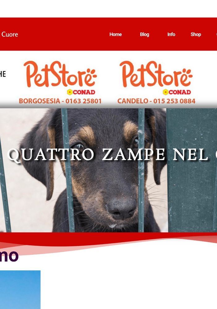 Gattinara, Il canile di Cascina Porta compie 20 anni. Per festeggiare, un libro, un nuovo sito web e nuovi partners!