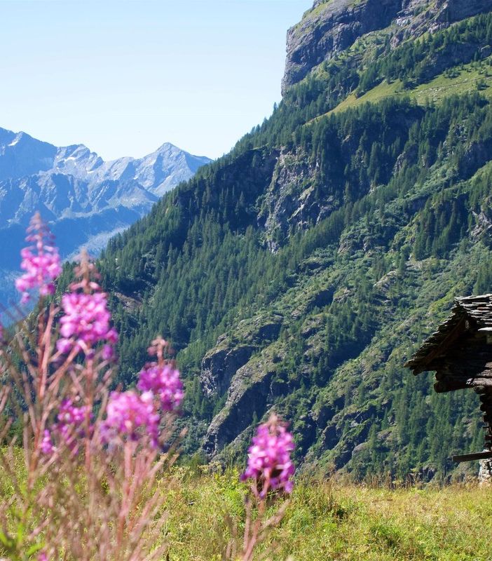 Alla scoperta della Val Grande