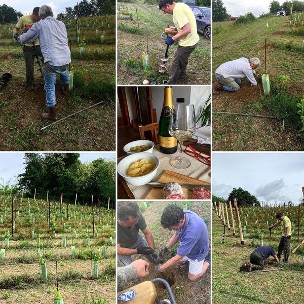 La Masera, la tua cantina di vini del territorio sulle splendide colline di Piverone FOTO