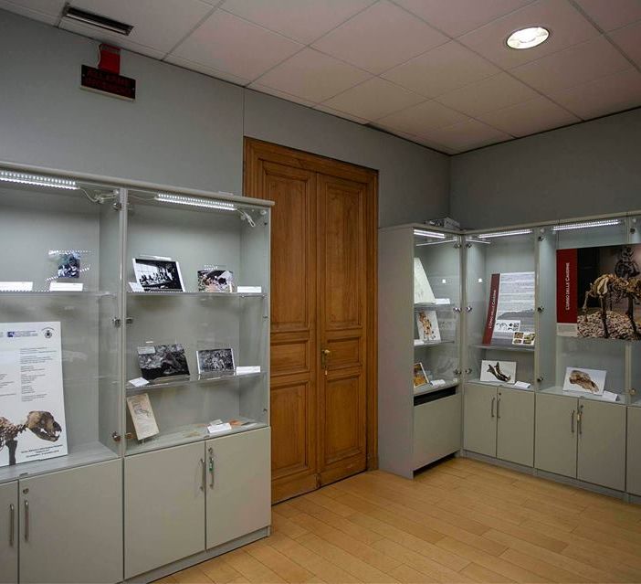 Foto pagina FB Museo Archeologia e Paleontologia Carlo Conti