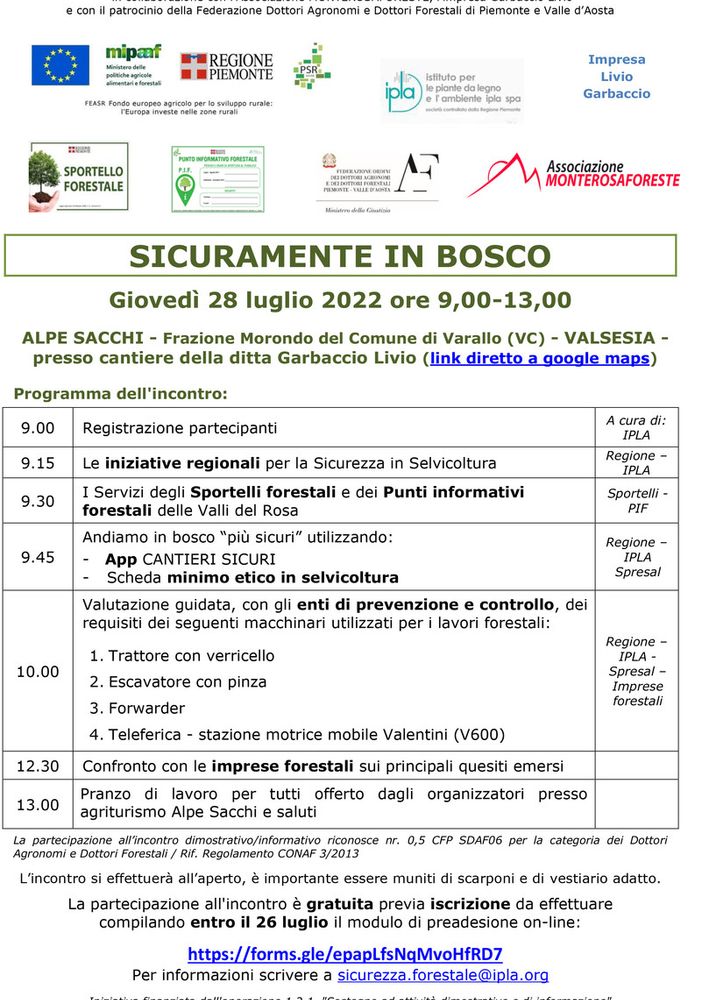Sicuramente in bosco all'Alpe Sacchi  il 28 luglio