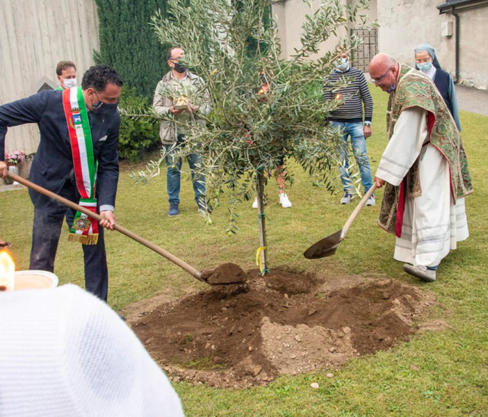 Il sindaco Botta e don Collarini piantano l'ulivo