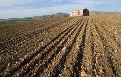 Regione: Più spazio ai giovani con le modifiche al Programma di sviluppo rurale
