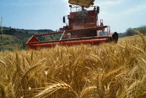 Innovazione aziendale, prorogato al 15 aprile 2024 la scadenza del bando “pacchetto giovani”.