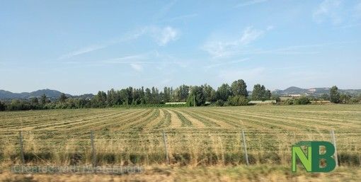 Indennità agli agricoltori operanti nelle zone montane, la Regione apre il bando da 13 milioni di euro.