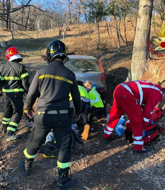 Schiacciato da un albero, è grave in ospedale