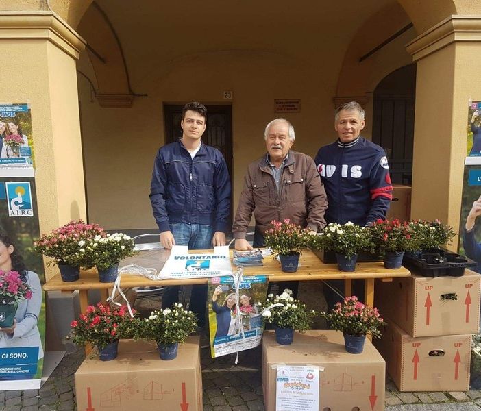 Un successo la raccolta Airc: 160 azalee della ricerca andate esaurite a Coggiola e Pray