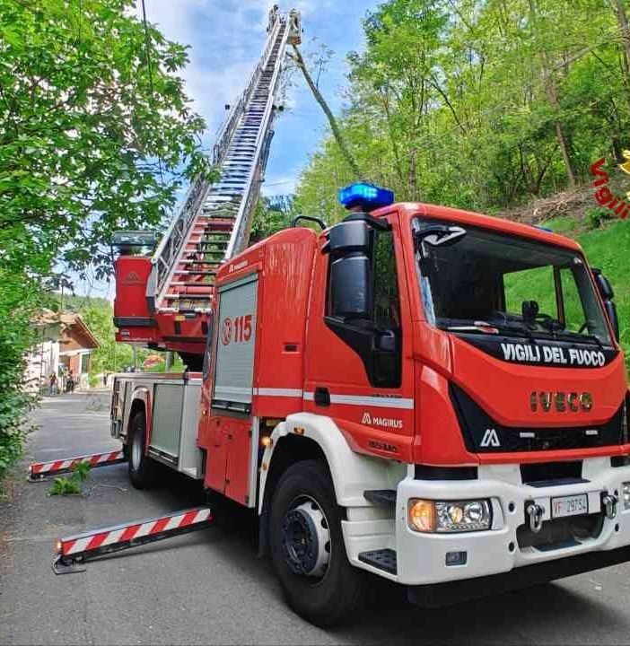 Albero pericolante a Borgosesia, intervengono i Vigili del Fuoco