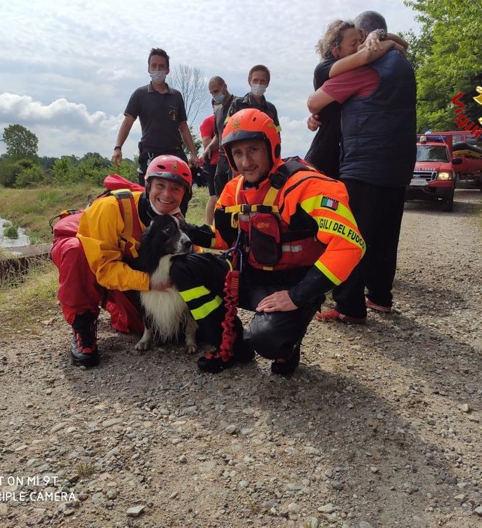 Cane incastrato in uno scolo dell'acqua sotterraneo salvato dai Vigili del Fuoco.