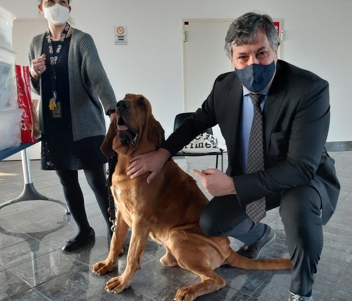 Cani anticovid, progetto pilota a Cuneo. Icardi: &quot;Metodo innovativo, pronti all'impiego sul campo&quot;