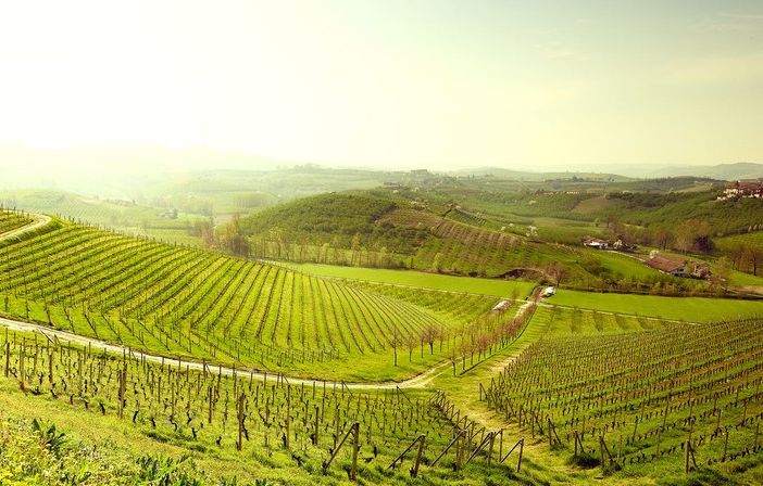 Piemonte da scoprire: un itinerario tra arte, enogastronomia e shopping con Torino Outlet Village
