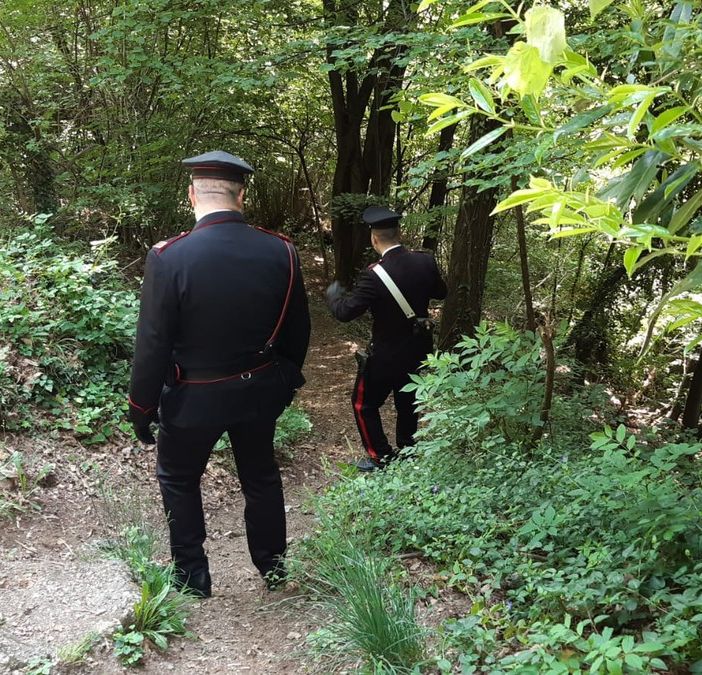 Ladro in fuga tra i tifosi in attesa del Giro: arrestato dopo un inseguimento tra i boschi