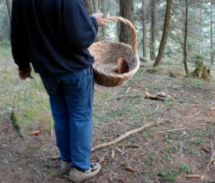 Val Sermenza, malore fatale tra i boschi per un cercatore di funghi