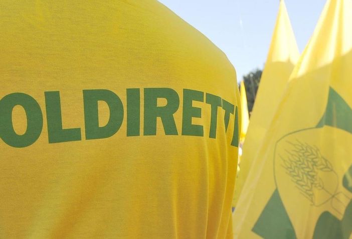 Foto di repertorio