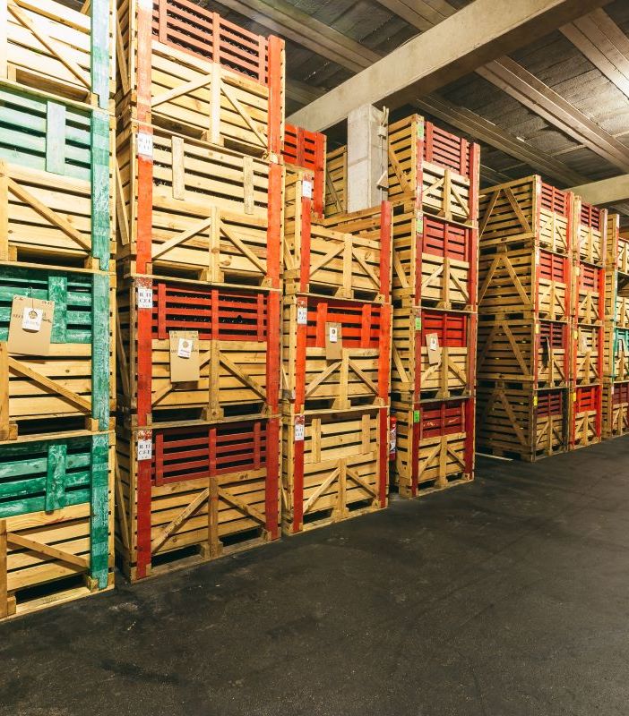 Co.Mark, Piemonte: l'export decolla grazie ai vini dell’Albese e di Cuneo