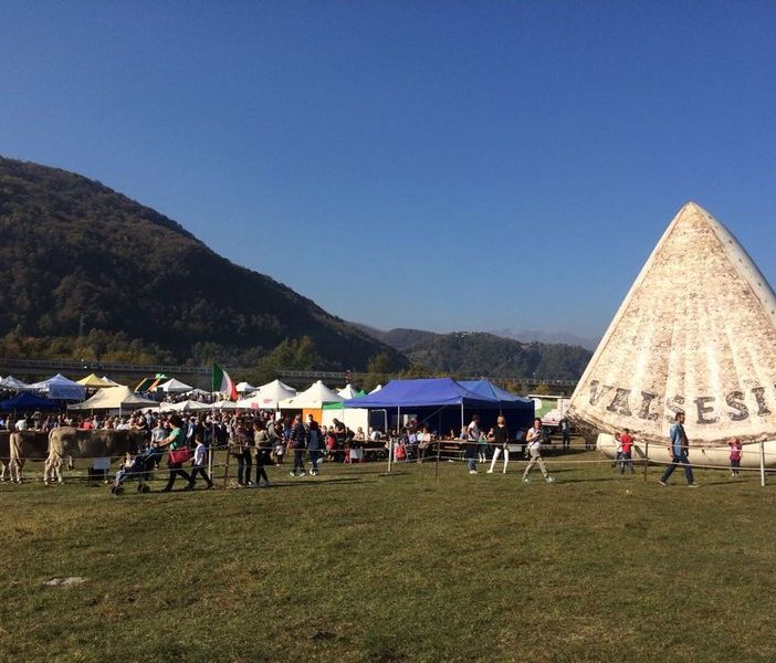 Rinviata la Fiera del Bestiame di Doccio