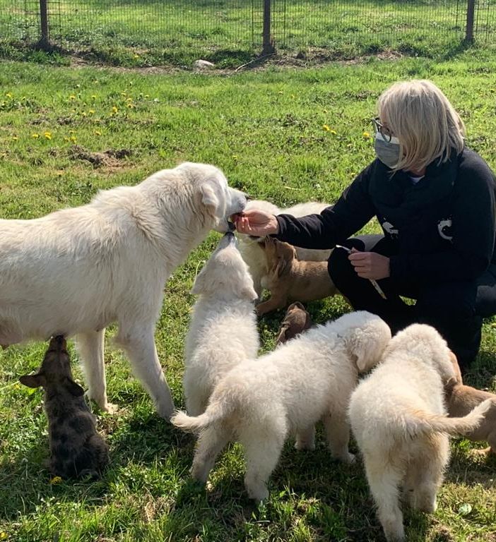 Borgosesia: Visita al canile di “4Zampe nel Cuore”