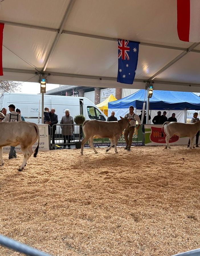 L'istituto agrario Ferraris di Vercelli alla mostra sulla razza piemontese