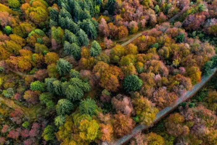 Lo spettacolo del foliage all’Oasi Zegna