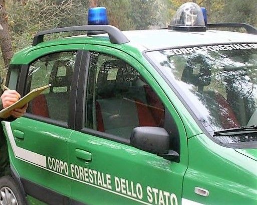 Bruciano residui vegetali ma non si può: multa da 600 euro per due uomini (foto di repertorio)