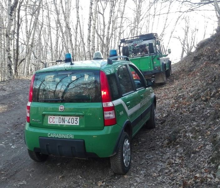 Carabinieri forestali, da mercoledì 8 aprile stato di massima pericolosità incendi boschivi