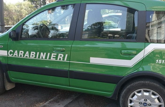 C'è il divieto ma brucia sterpaglie, multa da 600 euro per un uomo di Crevacuore (foto di repertorio)