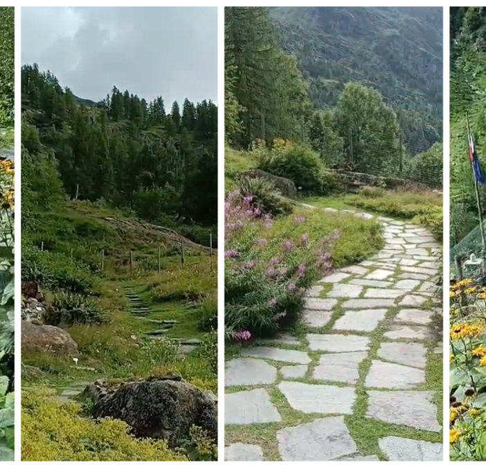 Un'immersione nella natura: al Giardino Botanico di Alagna un anfiteatro naturale.