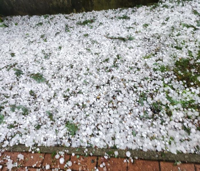 Dalla Regione 5 milioni di euro per reti antigrandine e ventilatori antigelo (foto di repertorio)