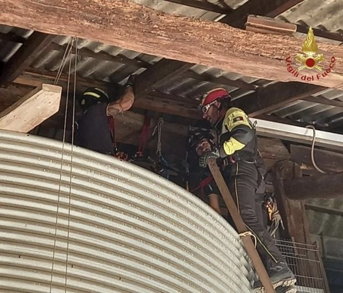 Gufetti restano intrappolati: a salvarli ci pensano i Vigili del Fuoco