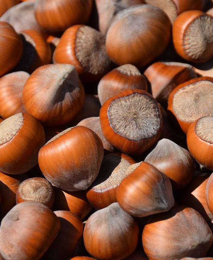 Nocciola, Cia Piemonte: &quot;Siccità e prezzi bassi mettono ko la produzione&quot;