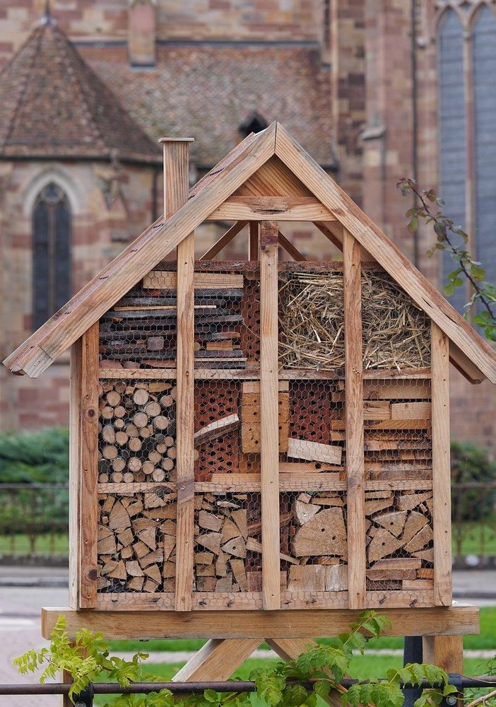 Ambiente e biodiversità a Lozzolo un albergo gratuito… per tutti gli insetti.