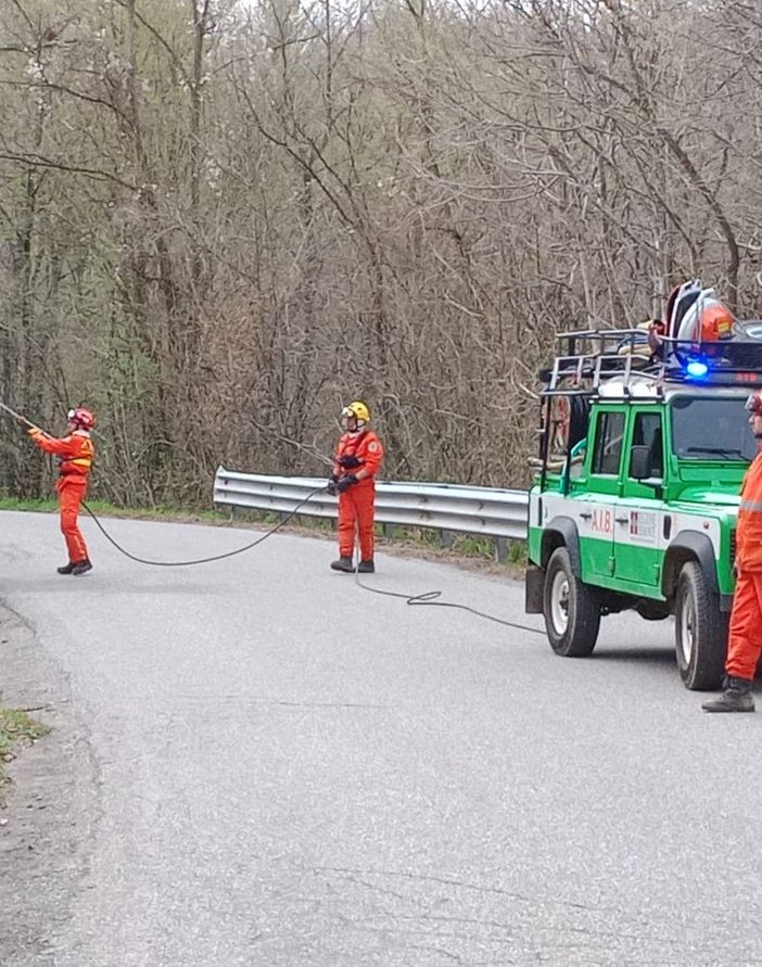 Caprile, sterpaglie a fuoco a lato della strada (foto dalla pagina Facebook di Corpo AIB Piemonte)