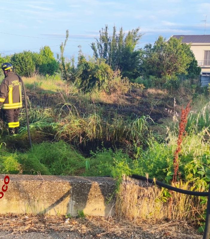 Incendio sterpaglie a Trino