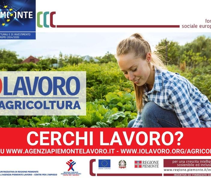 Coronavirus, &quot;Io Lavoro in Agricoltura&quot;. Iniziativa della regione Piemonte