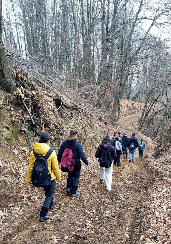 Istituto Bonfantini: lezione sul campo del progetto filiera del legno