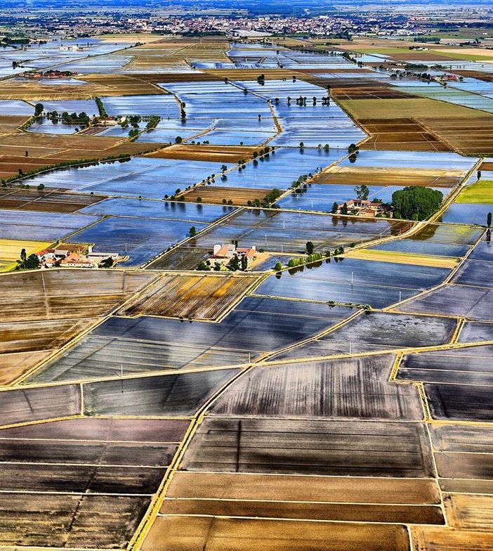 Risicoltura, Piemonte insieme a Lombardia ed Ente Risi a sostegno del comparto