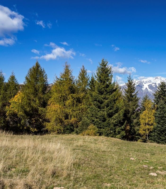 Questo weekend l’ultima apertura estiva della seggiovia Scopello-Mera. Gli impianti di Alagna saranno in funzione fino a domenica 18 settembre.