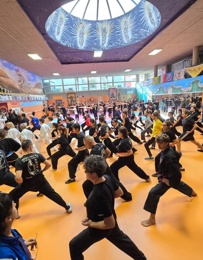 Multistage kung fu a Vercelli
