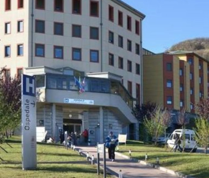 Donna punta dai calabroni: &quot;Non è l'Asl a gestire il 118&quot;