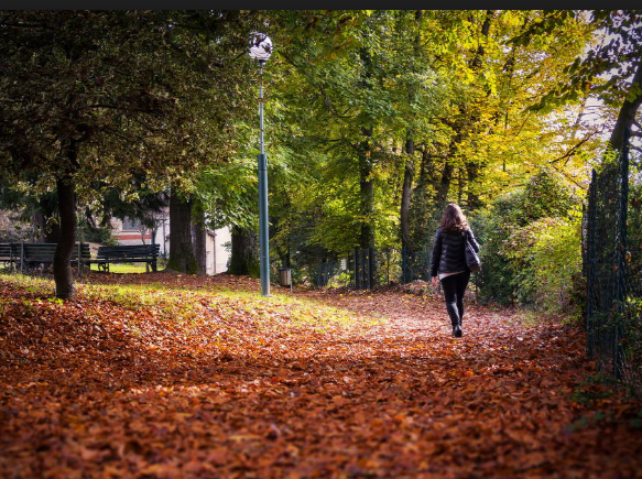 Borgosesia, parco Magni: In arrivo il bando 2022-2027