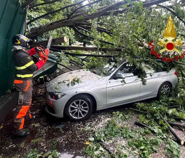 Borgosesia: Grossa pianta crolla su tre auto