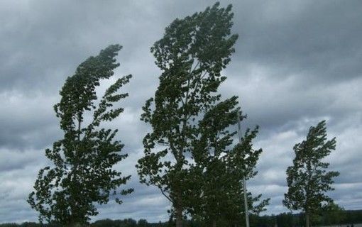 Attenzione al vento: oggi raffiche fino a cento chilometri all'ora. Calano le temperature, ma niente pioggia