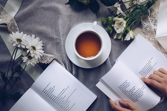 Da Stoccolma a Vercelli: inaugurazione del Festival di poesia civile  mercoledì con il premio alla carriera a Jesper Svenbro